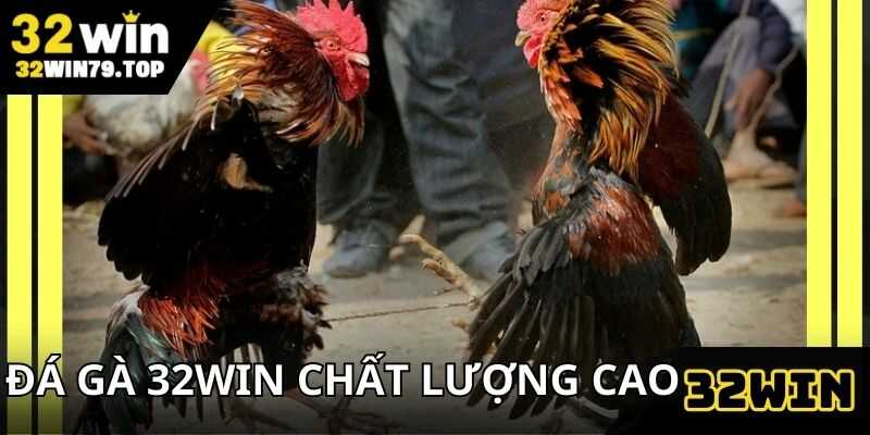 Đá gà 32win được nhiều người chơi yêu thích