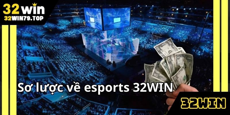 Giải mã sức hút của đấu trường