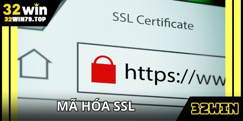 Mã hóa SSL trong chính sách bảo mật giữ an toàn tuyệt đối cho mọi giao dịch